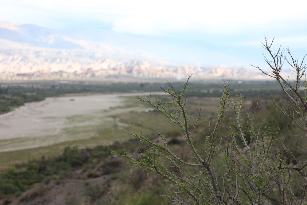 Calchaqui Valley