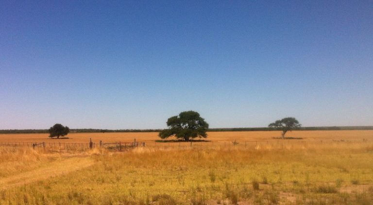El dia que llegue al cielo