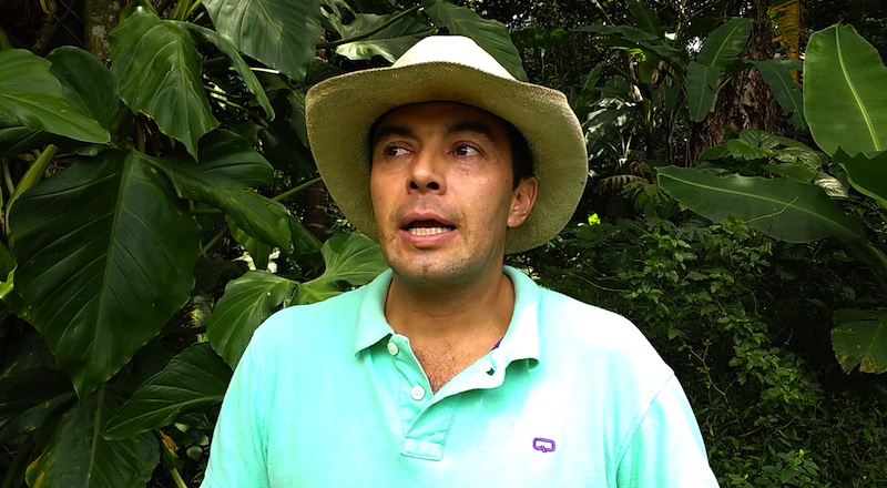coffee farmer in colombia