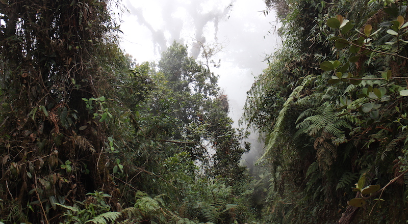 Parque Farallones de Cali