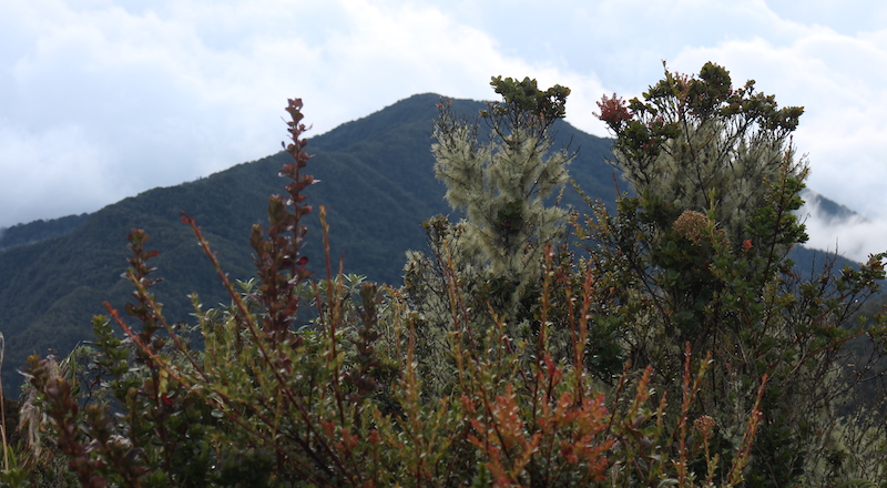 Parque Farallones de Cali