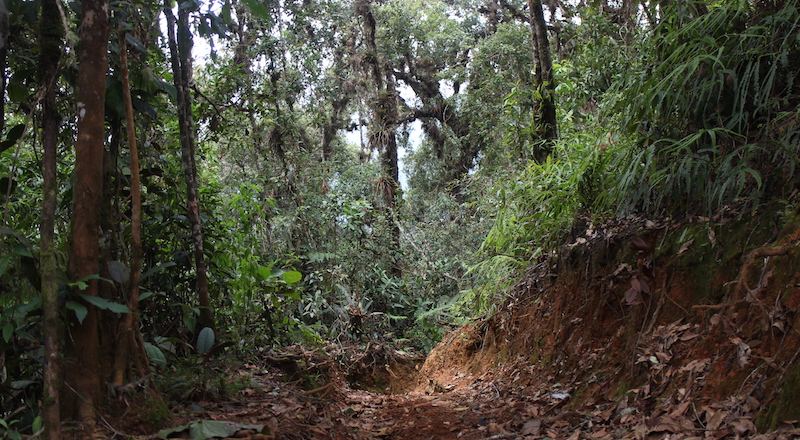 Parque Farallones de Cali